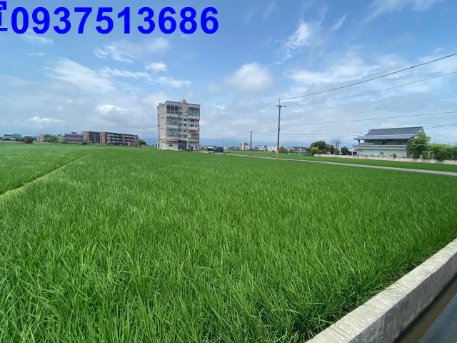 宜蘭壯圍農地-2