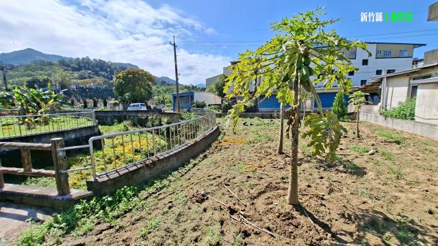 新竹橫山農地-8