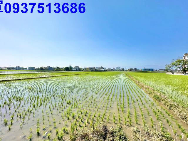 宜蘭宜蘭市農地-1