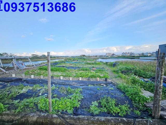 宜蘭壯圍農地-4