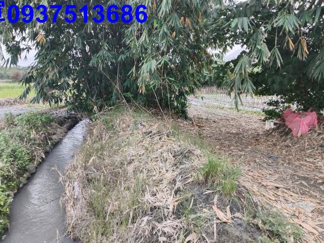 宜蘭三星農地-5