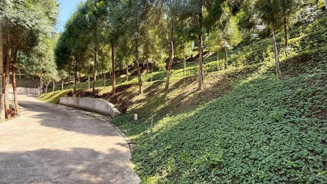 新竹橫山農地-4