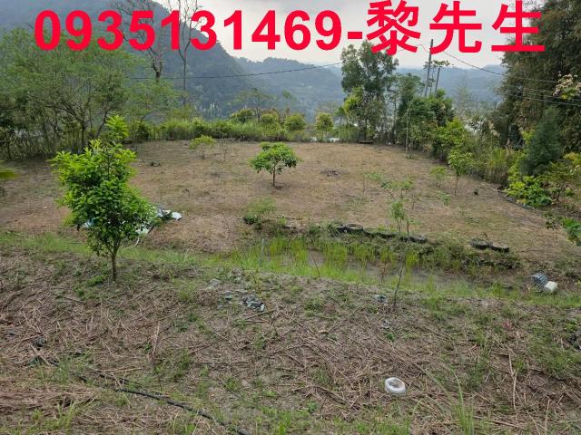 新竹橫山農地-14