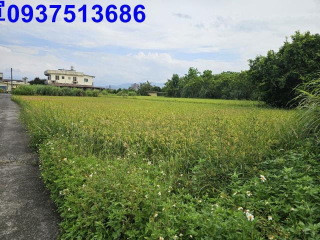 宜蘭員山農地-1