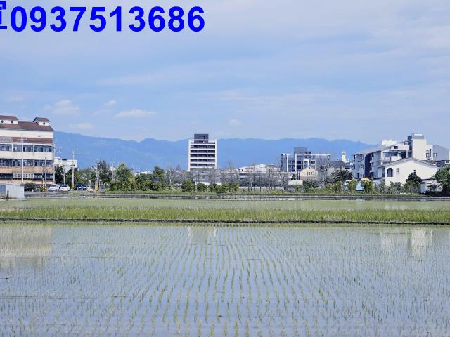 宜蘭壯圍農地-9