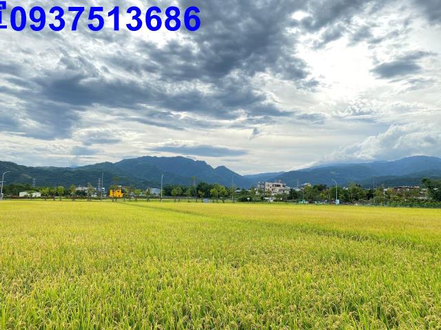 宜蘭宜蘭市農地-7