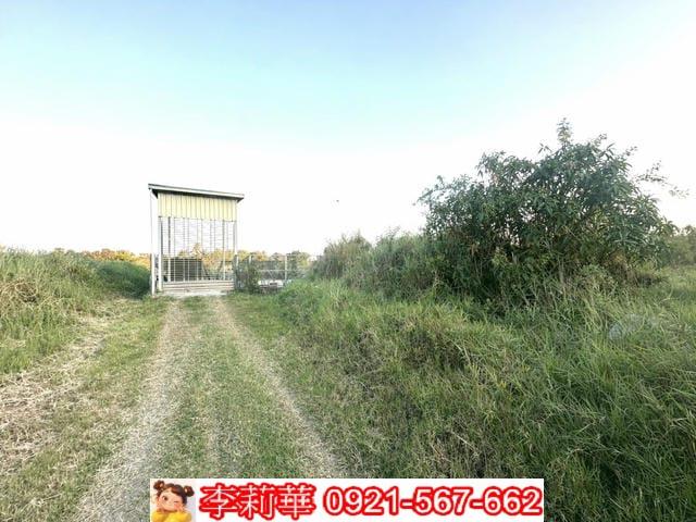 台南農地-5