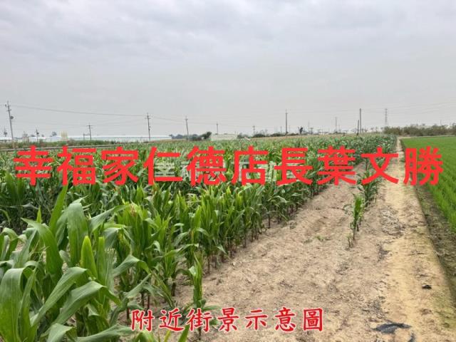 台南農地-10