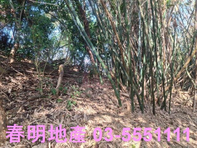 新竹寶山農地-3