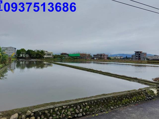 宜蘭宜蘭市農地-3