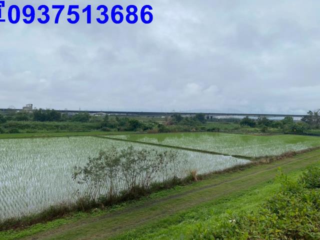 宜蘭宜蘭市農地-7