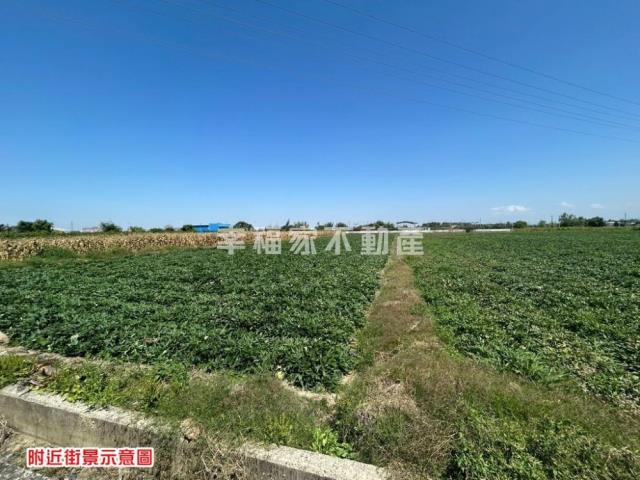 台南新化農地-11