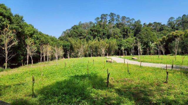 新竹橫山農地-12