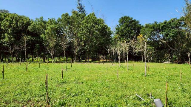 新竹橫山農地-8