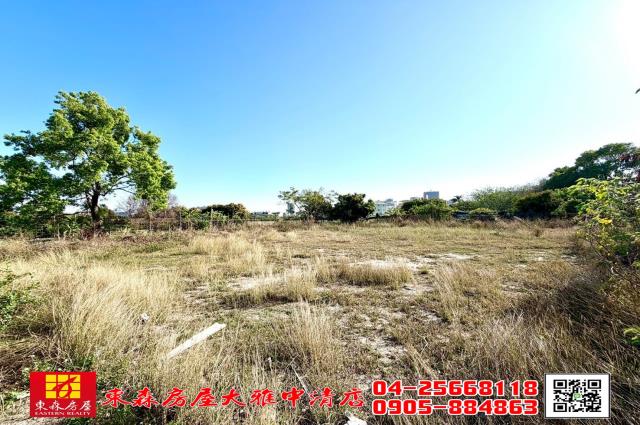 台中西屯農地-1