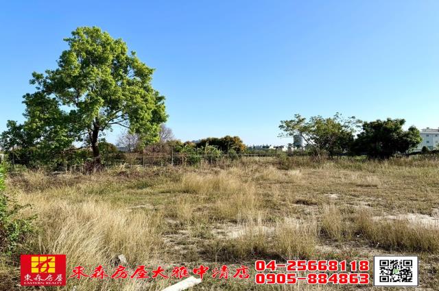 台中西屯農地-2