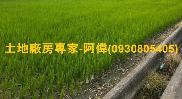 高雄農地-1