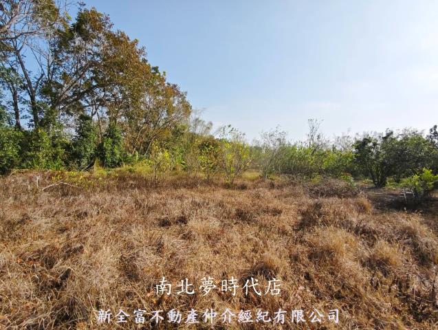 台南左鎮農地-1