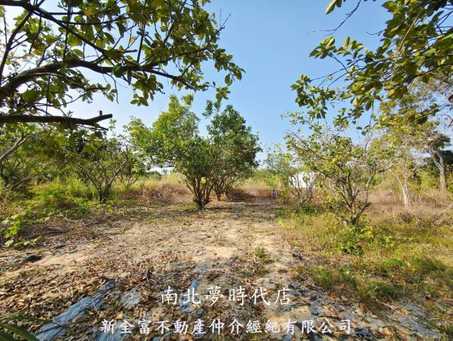 台南左鎮農地-7