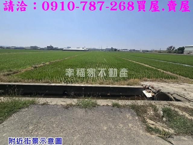 台南柳營農地-6