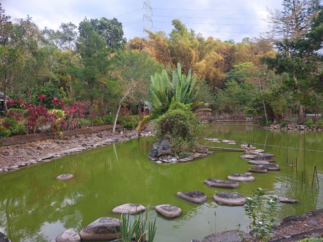 南投竹山農地-3