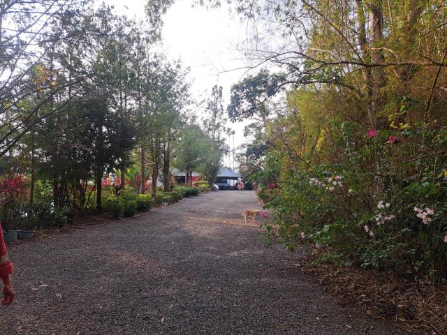 南投竹山農地-9