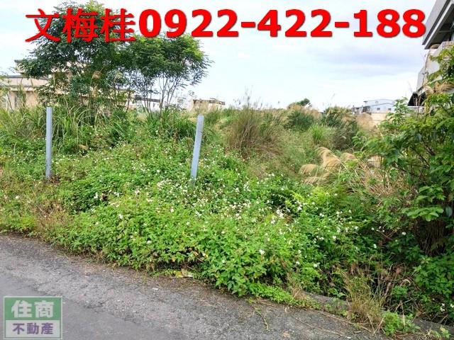 宜蘭宜蘭市農地-3