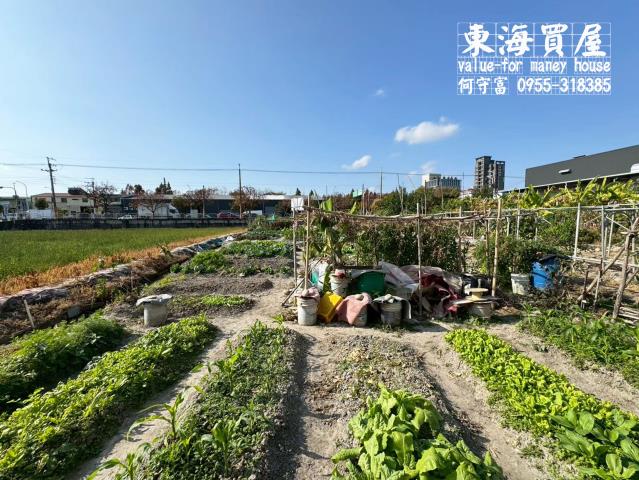 台中西屯農地-1