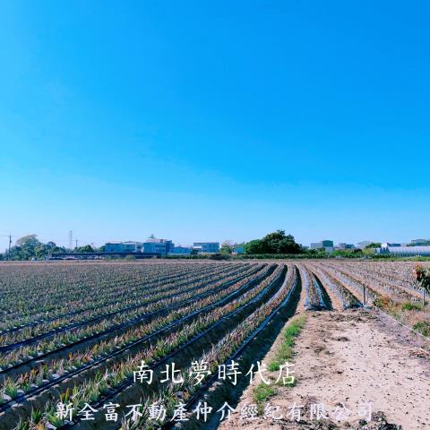 台南山上農地-6