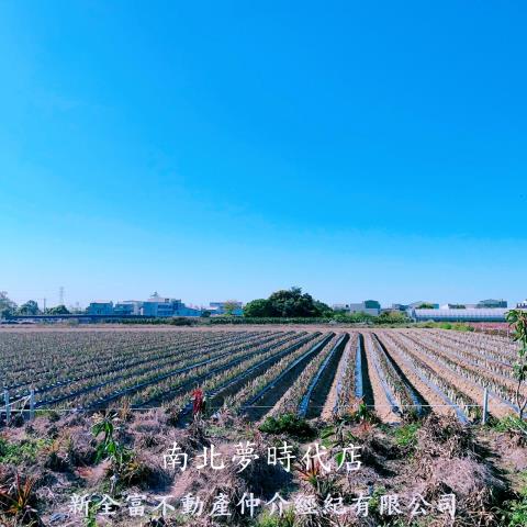 台南山上農地-7