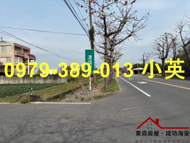 台南新市農地-11