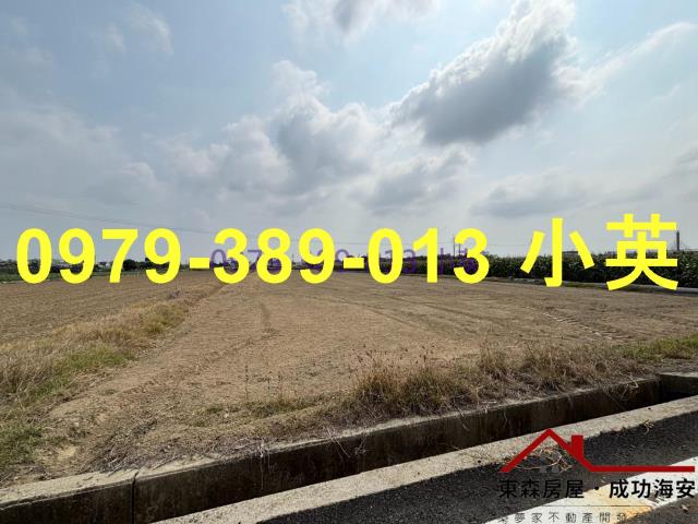 台南新市農地-2