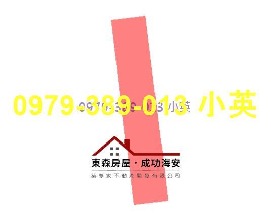 台南新市農地-6