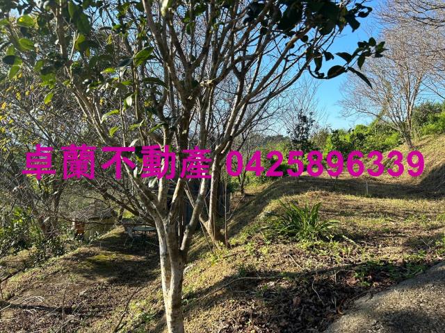 苗栗卓蘭農地-8