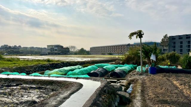 新竹芎林農地-8