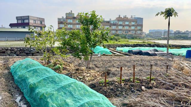 新竹芎林農地-9