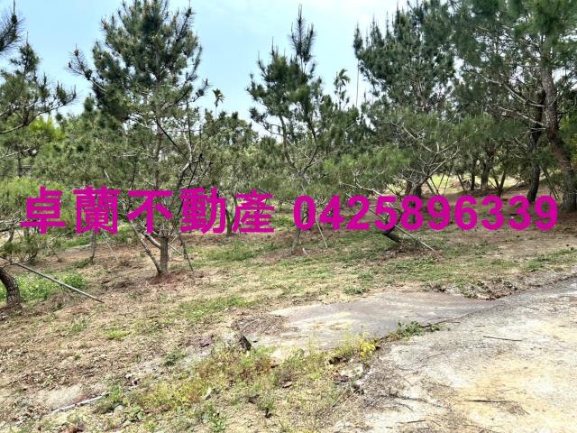 苗栗卓蘭農地-10