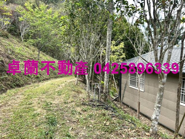 苗栗卓蘭農地-4