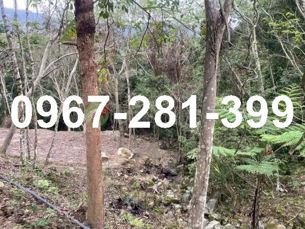 苗栗南庄農地-2