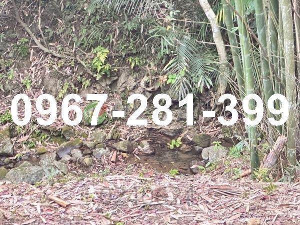 苗栗南庄農地-5