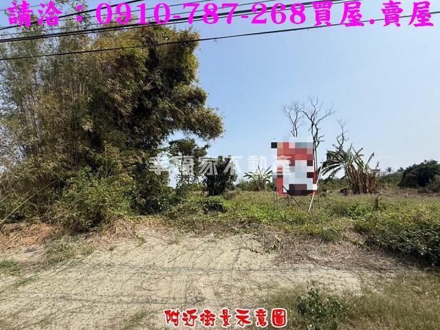 台南新市農地-2