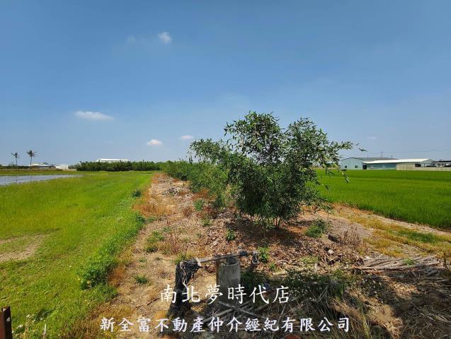 台南白河農地-1