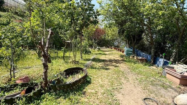 新竹關西農地-12