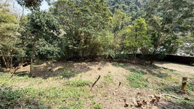 新竹關西農地-12