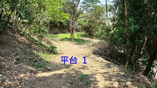 新竹關西農地-2