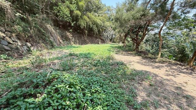 新竹關西農地-4