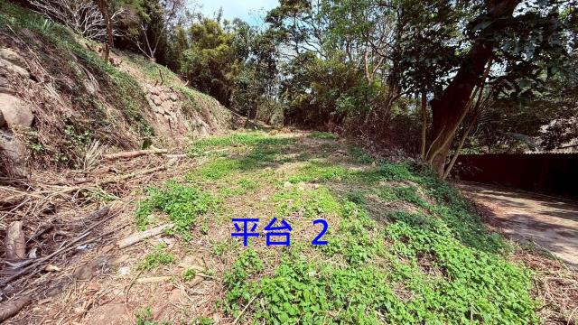 新竹關西農地-9