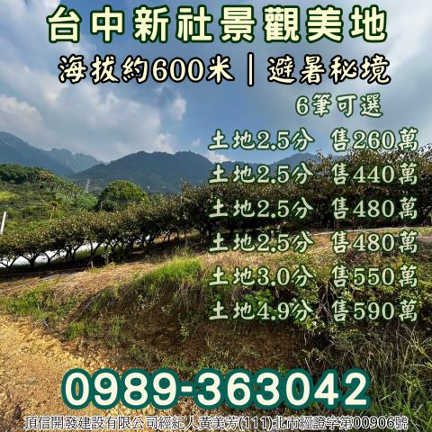 台中新社農地-14