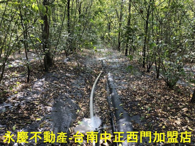 台南玉井農地-2