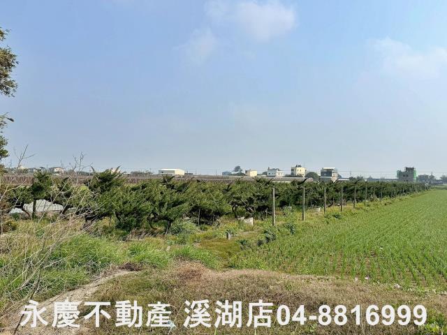 二林農地-6